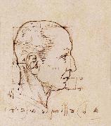 LEONARDO da Vinci Study of the proportion of the head France oil painting artist